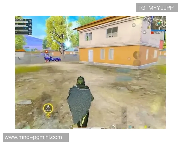 和平精英中LNG团队协作引发的争议与讨论分析